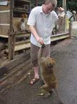 feeding the monkey